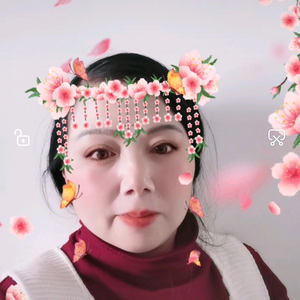 楼下舒九儿头像