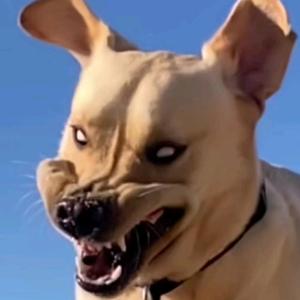 教数学的宇文老师 头像