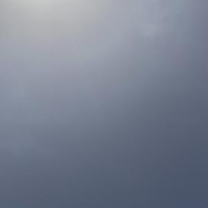 智者伊夫琳0f9D头像