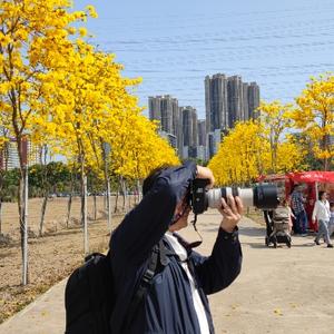 广州白水泉头像