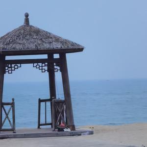 阿乐带你悠游宝藏头像