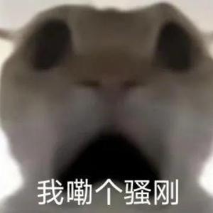 入机头像