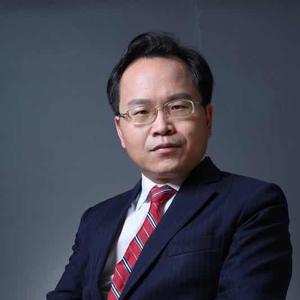 陈震华振集团头像