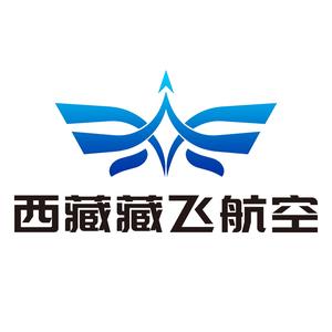 藏飞航空头像