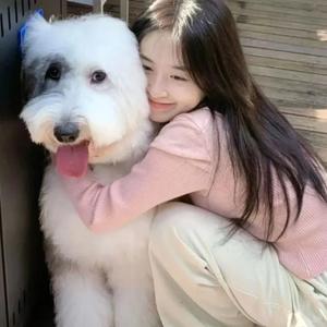 优雅梦想x头像
