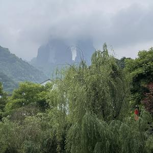 江郎山一姐头像