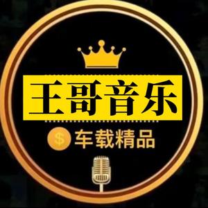王哥音乐{在北京收杂货}头像