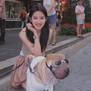 清歌说剧头像