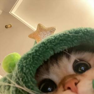 欧气满满耶头像