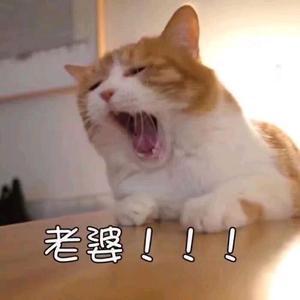 小唠叨影视头像