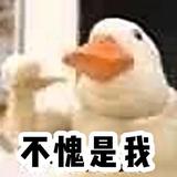 改造的卷卷小羊毛头像