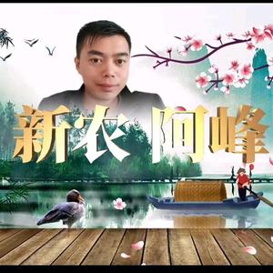 新农阿峰头像
