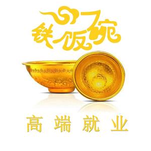 铁饭碗高端就业11头像