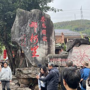 自驾游小徐头像