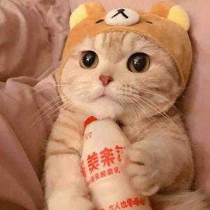 昌乐野生段友头像