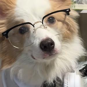 今晚能去你家吗头像