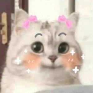 饭饭多多多头像