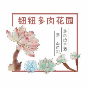 怀远钮钮多肉植物园大号头像