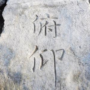 勇敢的豆浆wX头像