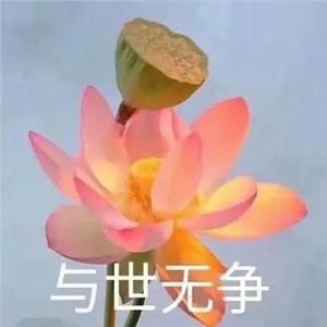 小手纪录头像