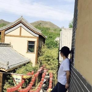 陪你看硫酸雨头像