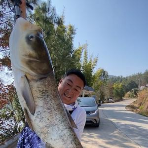王军爱钓鱼头像