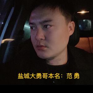 大勇哥有话说头像
