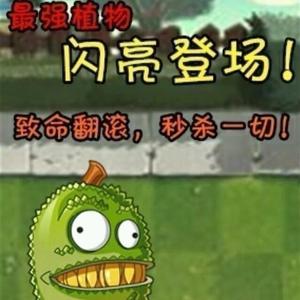 大懿Game头像