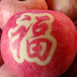 苹果官亮亮头像