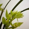 迈步1头像