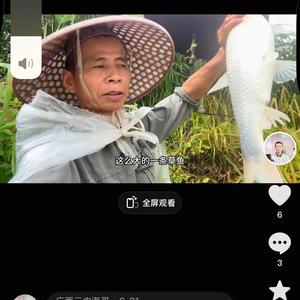 广西三农海哥头像