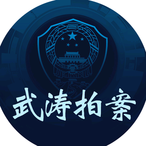 武涛拍案头像