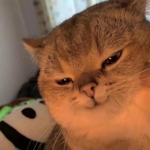 一只没有感情的眯眯头像