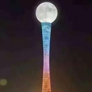 贱贱哒头像