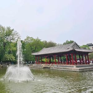 木四滴头像