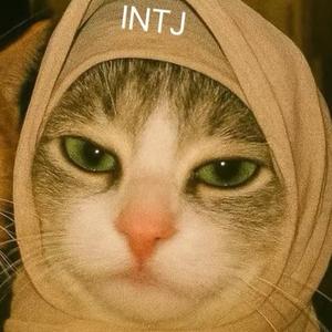 猫奴的化学课头像