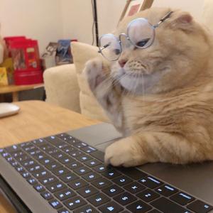 没毛病的叮当猫头像