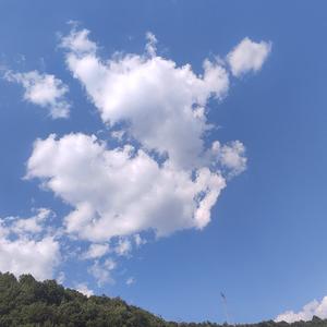 塔上观风的游客头像