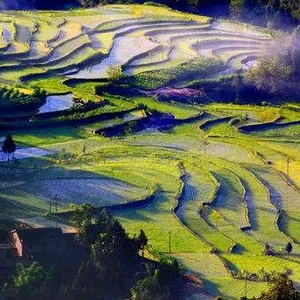 李鑫43766770头像