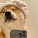 博学多才的ccccccccccccc头像