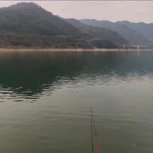 财鱼道头像
