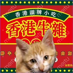 牛杂店里的—小橘子头像