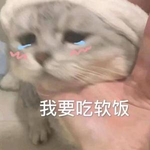 单纯火车dR1pP头像