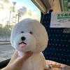 用户4437865097605头像