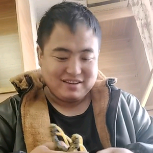 吉A大鸽头像