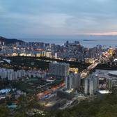 冷暖自知的春天头像
