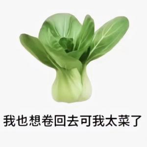 想卷回去可是我太菜了头像