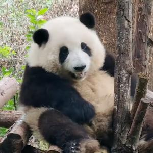 利樂有情头像