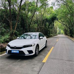 小陈来了头像