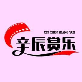 辛辰赏乐头像